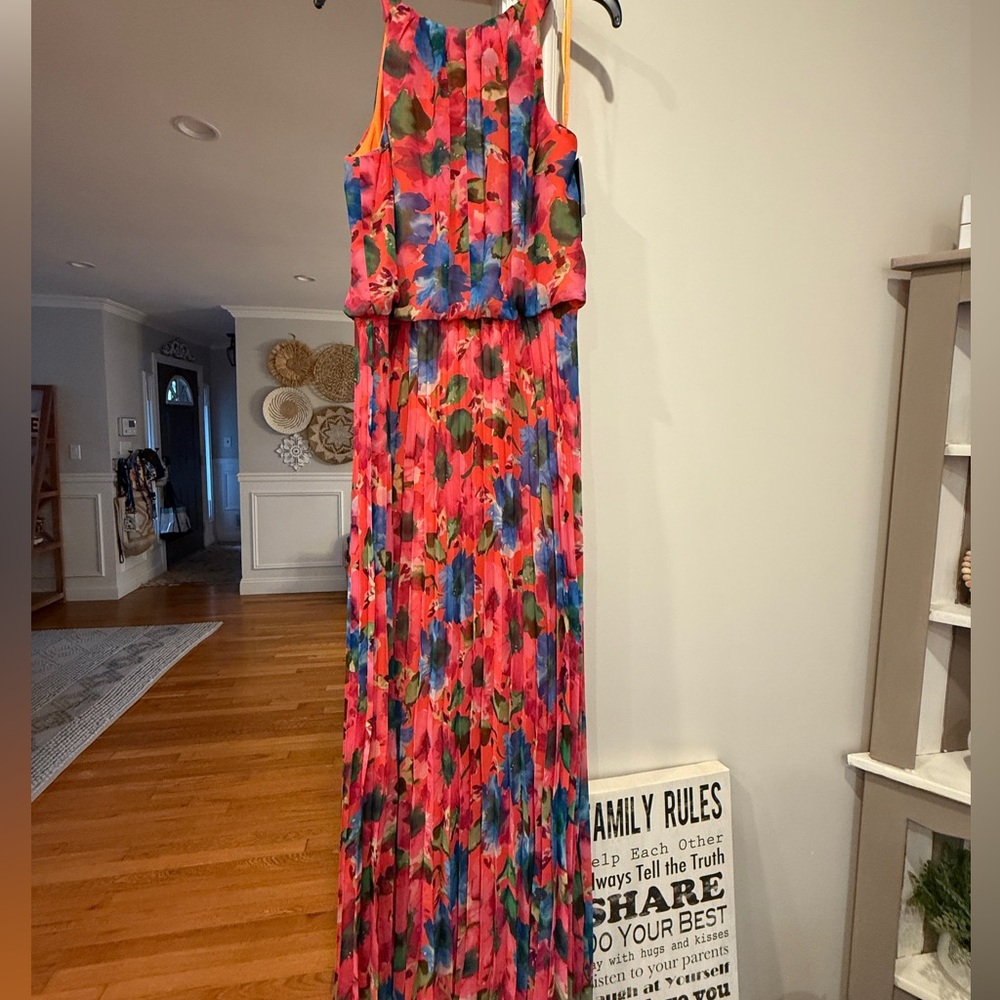 Xscape Floral Maxi Dress - Pink and Blue